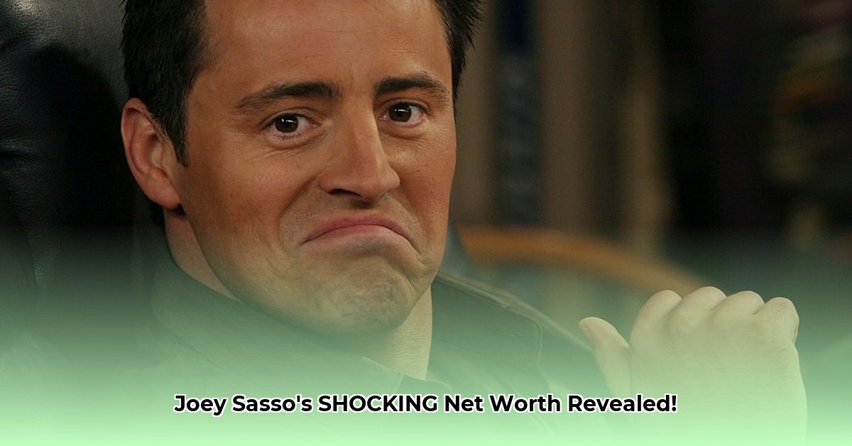 joey-sasso-net-worth